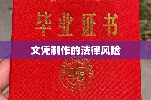 禹会文凭制作的法律风险