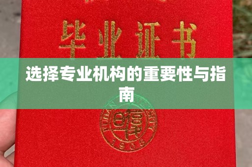 禹会选择专业机构的重要性与指南