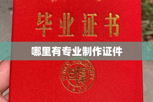 禹会哪里有专业制作证件