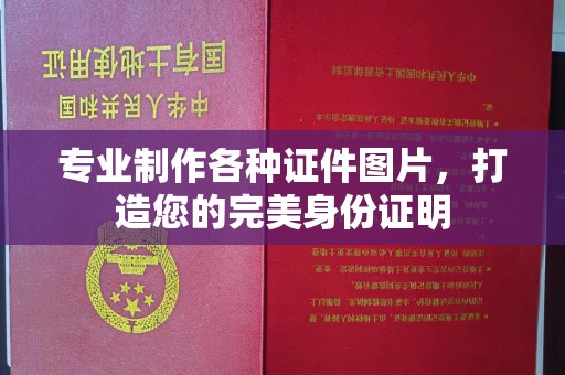 禹会专业制作各种证件图片，打造您的完美身份证明